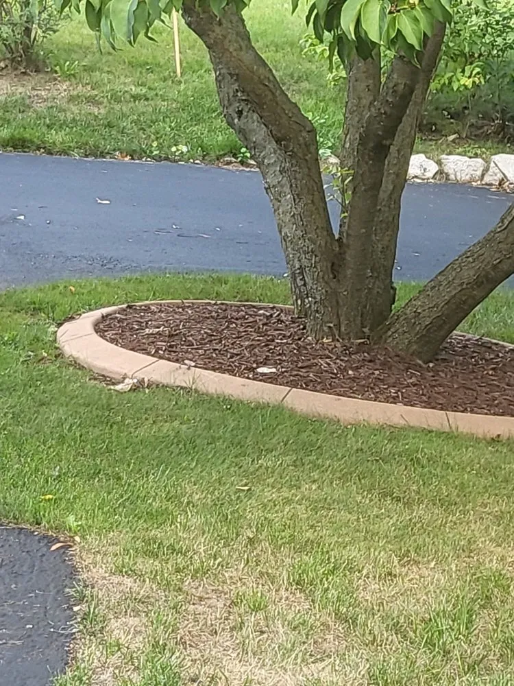 Trusted landscape design in Glenwood, MN by Creative Curbing