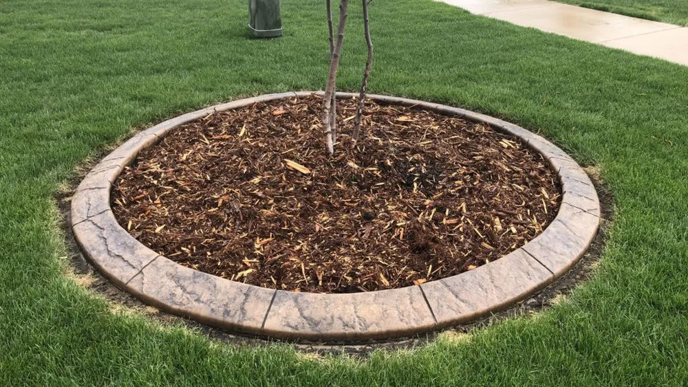 Top-rated yard cleanup service in Glenwood, MN by Creative Curbing