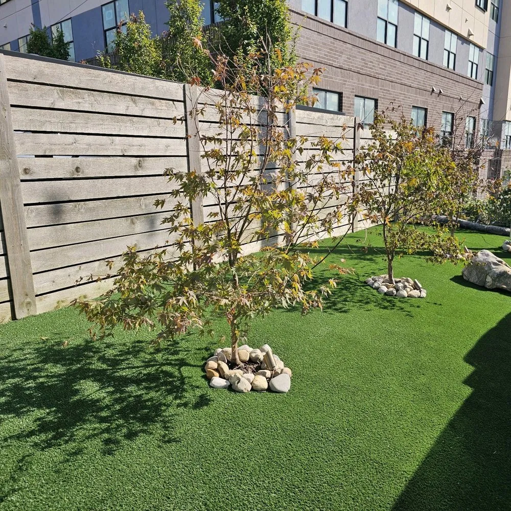 Affordable garden landscaping experts serving Clarksville, TN - Creative Curves