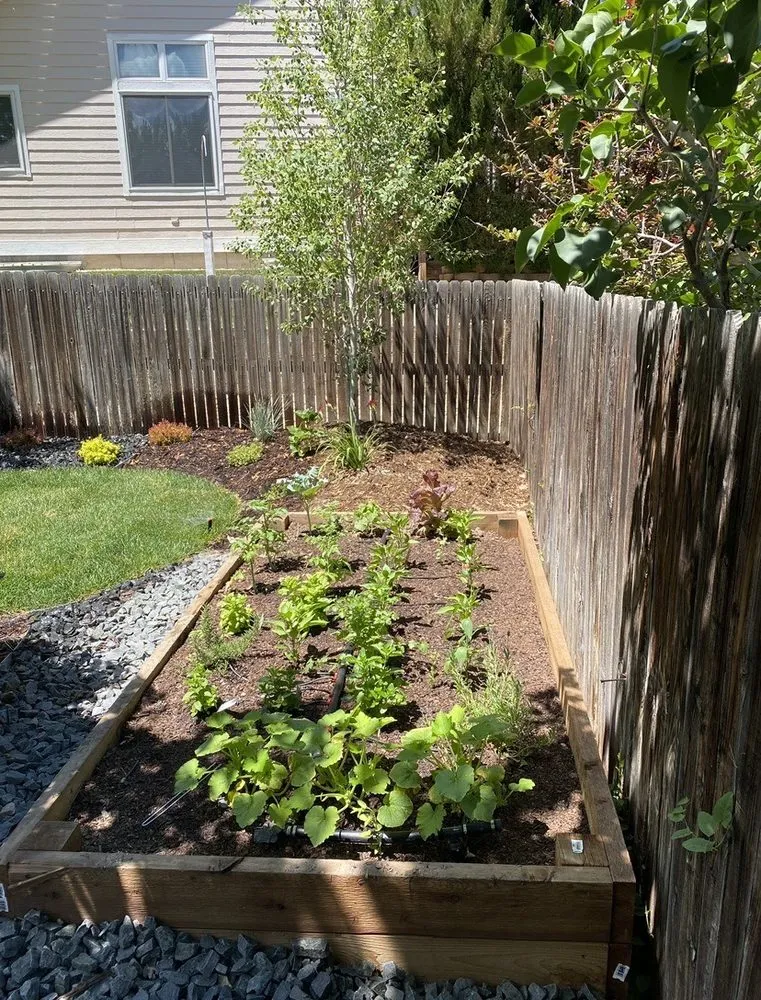 Local lawn mowing service experts serving Parker, CO - Creative Custom Designs