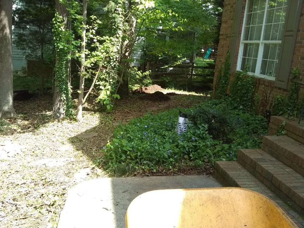 Expert yard maintenance in Troutman, NC by Creative Cuts