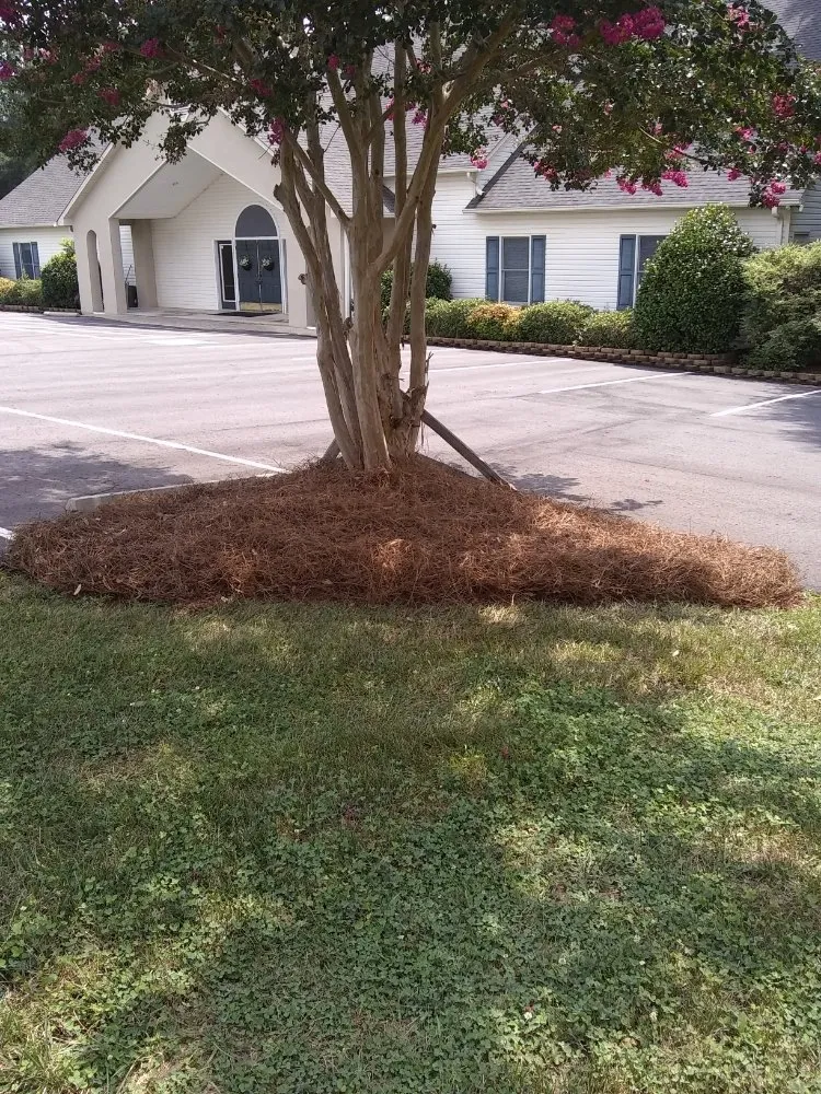 Custom residential landscaping for residential properties in Troutman, NC by Creative Cuts