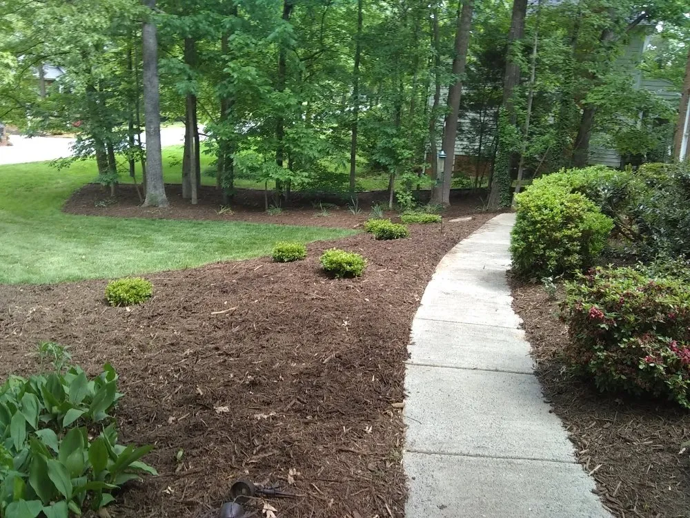 Reliable landscape installation for outdoor upgrades across Troutman, NC - Creative Cuts