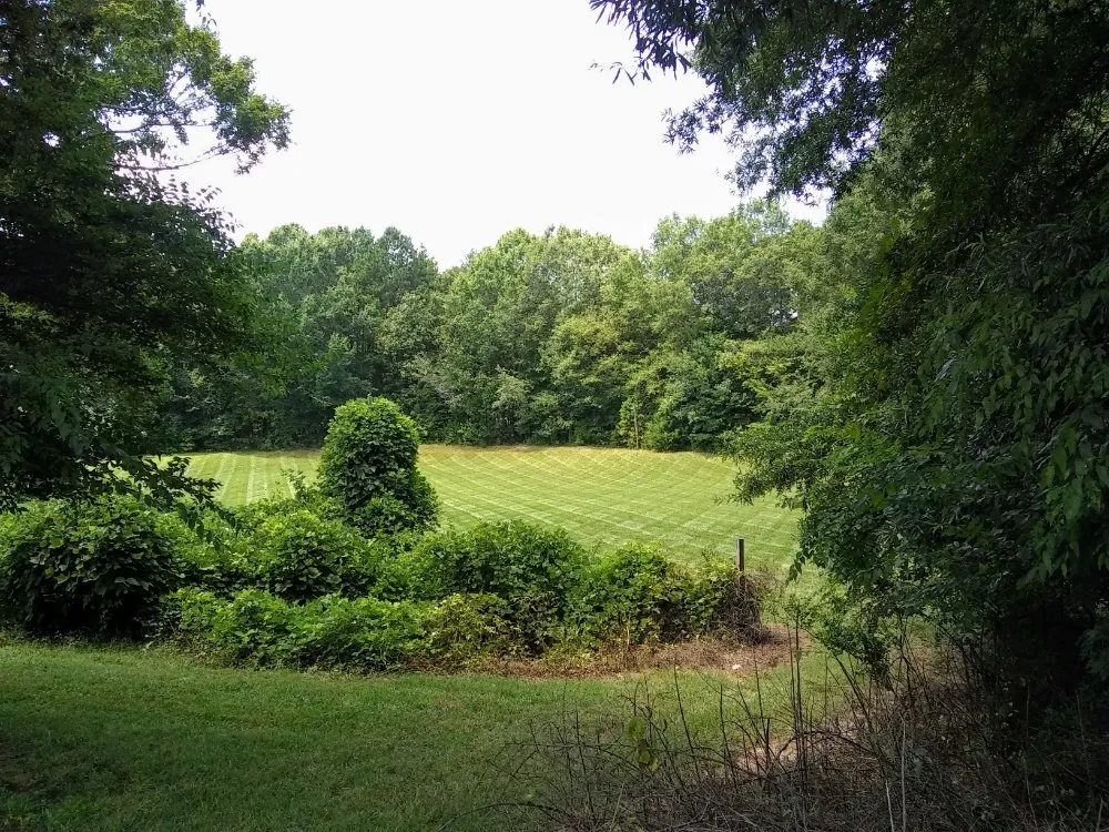 Expert yard cleanup service in Troutman, NC - Creative Cuts