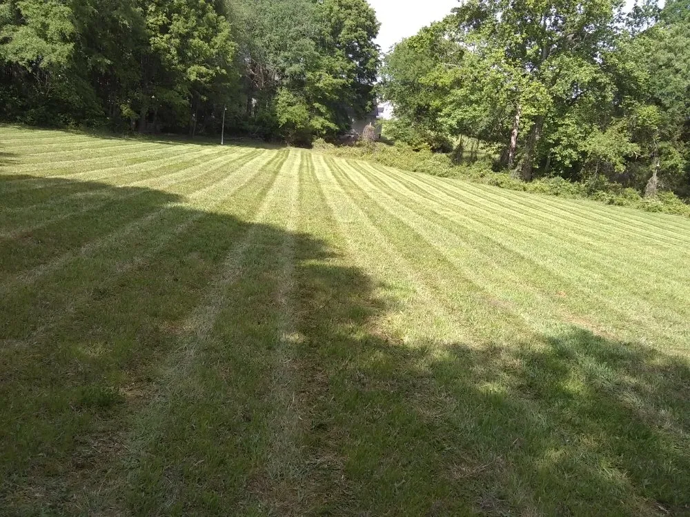 Custom yard maintenance for year-round maintenance across Troutman, NC - Creative Cuts