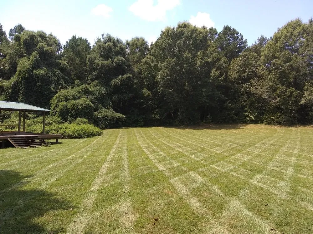 Professional yard cleanup service in Troutman, NC - Creative Cuts