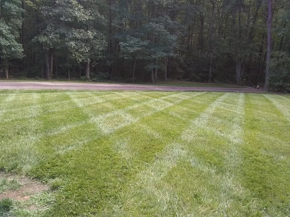 Expert outdoor landscaping experts serving Troutman, NC - Creative Cuts