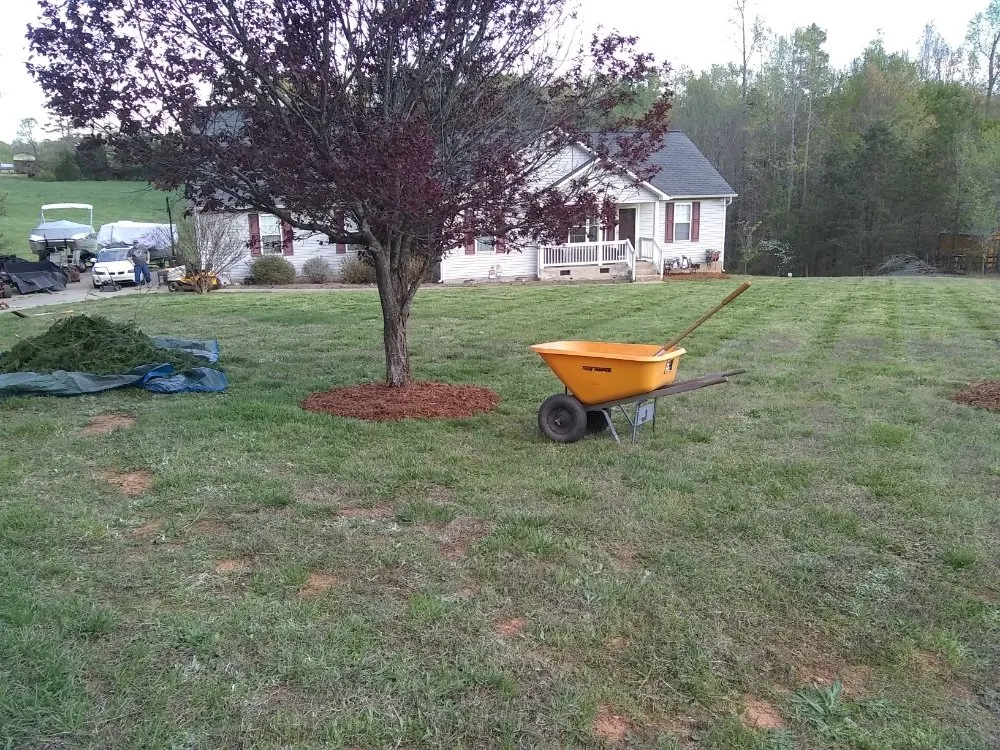 Trusted yard maintenance for homes in Troutman, NC by Creative Cuts