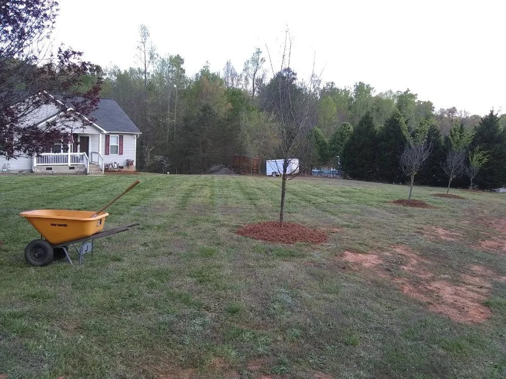 Trusted lawn care service for beautiful yards in Troutman, NC by Creative Cuts