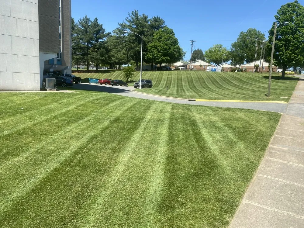 Expert residential landscaping experts serving Tobaccoville, NC - Creative Design And Construction