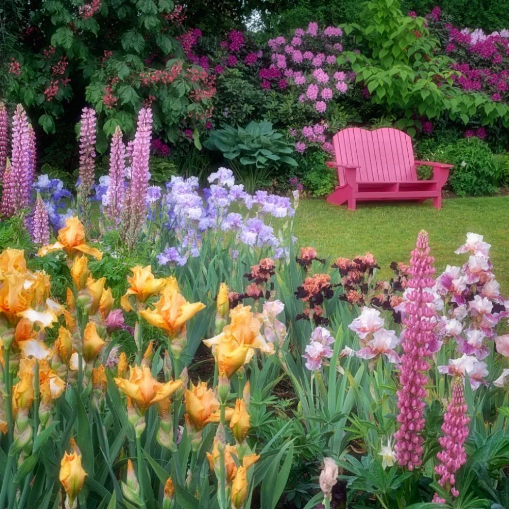 Reliable landscaping services for homes in East Hampton, NY by Creative Design Landscapes