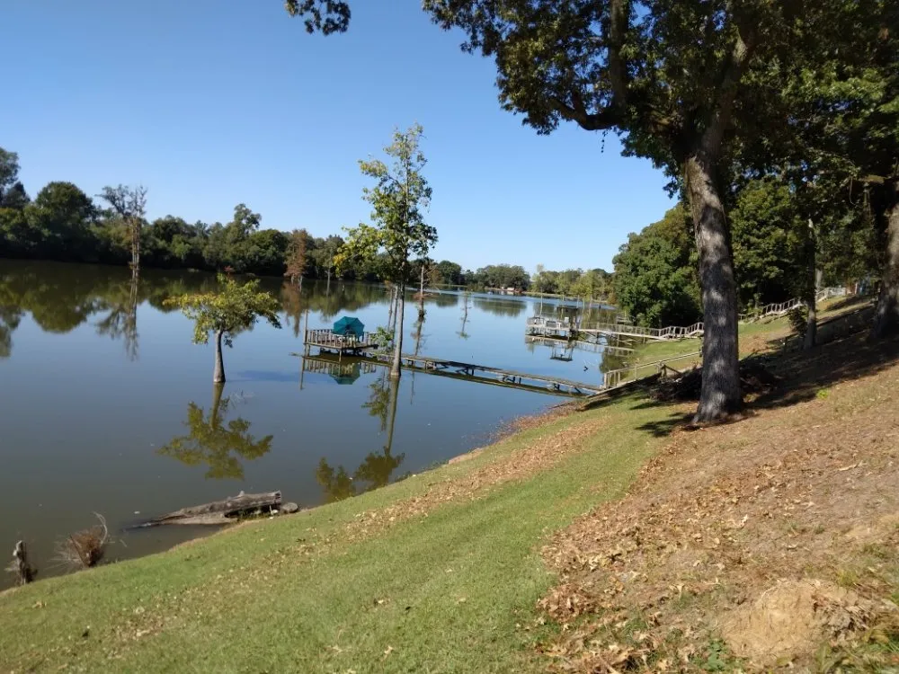 Expert yard cleanup service for residential properties in Bastrop, LA by Creative Design Lawn Care