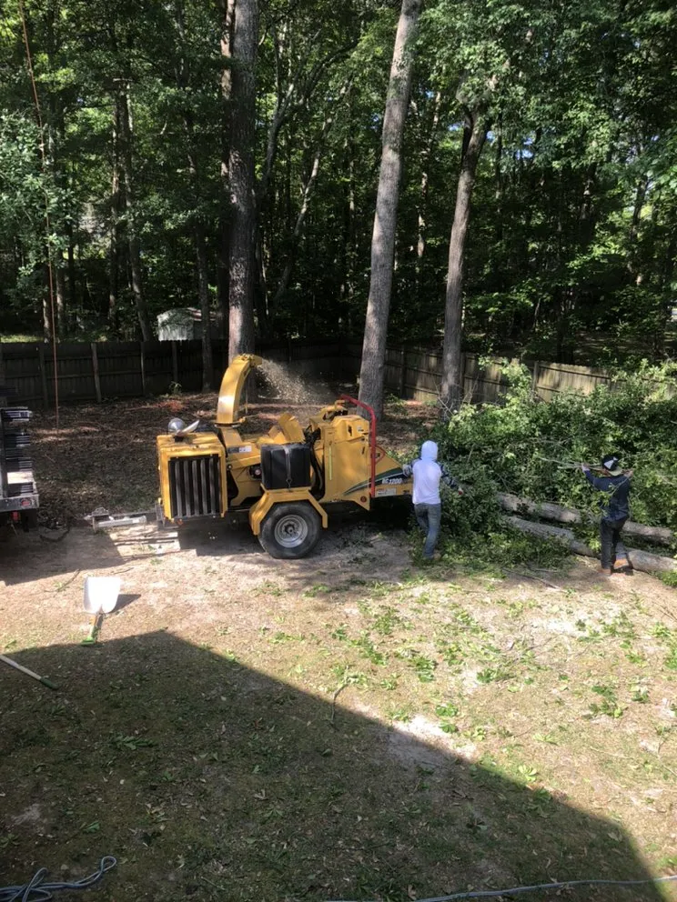 Reliable yard cleanup service in Riverdale, GA by Creative Designz Landscaping & Home Improvement