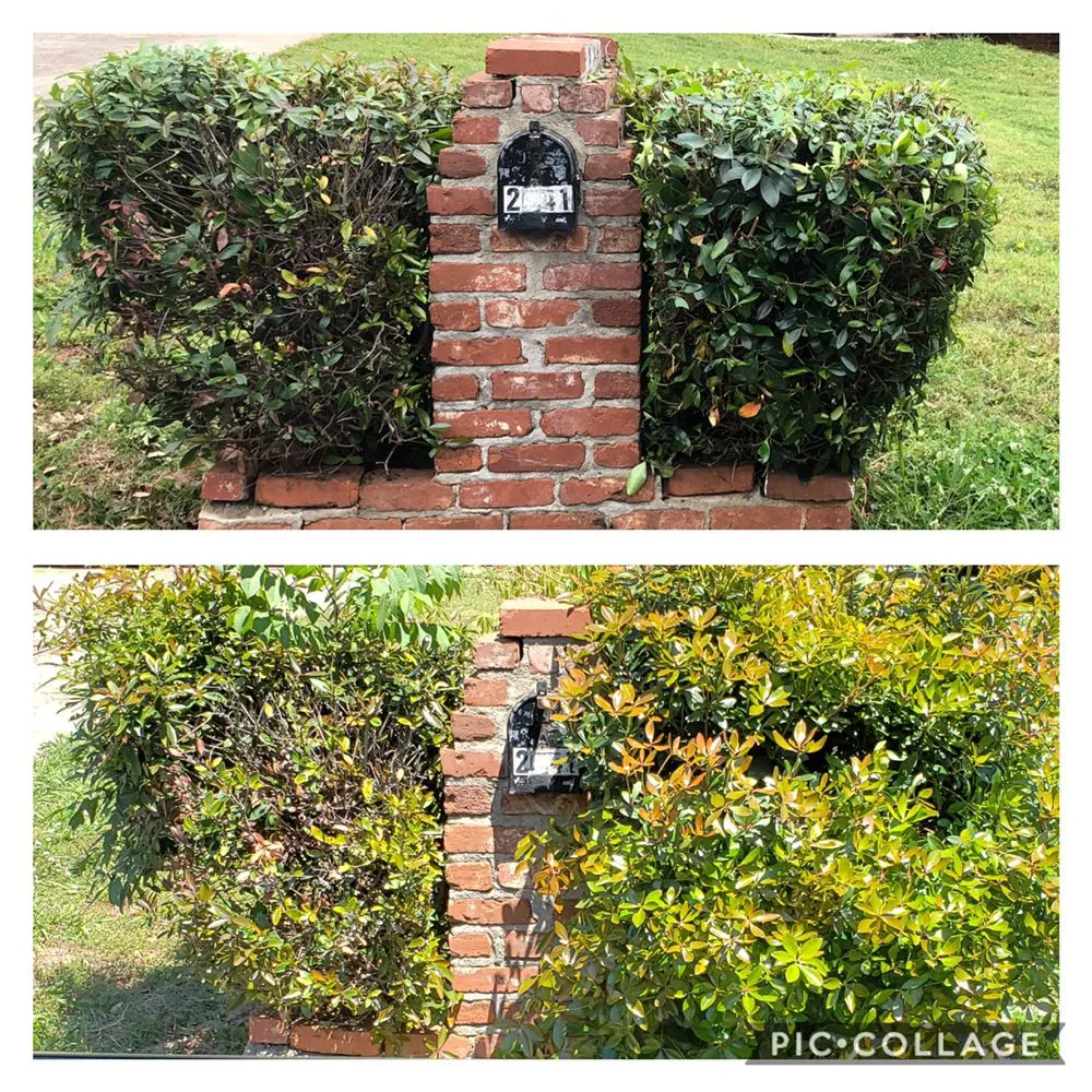 Reliable landscape installation in Riverdale, GA - Creative Designz Landscaping & Home Improvement