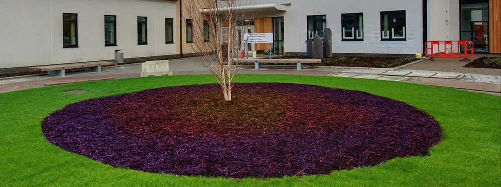 Expert outdoor landscaping experts serving Superior, MT - Creative Development