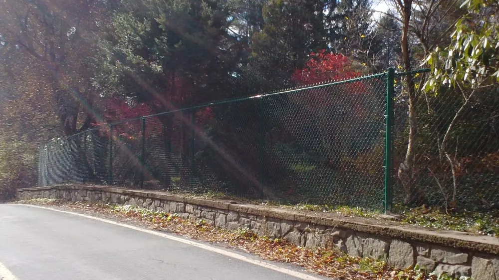 Expert yard cleanup service for homes across Mongaup Valley, NY - Creative Earth Landscaping