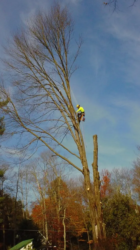 Trusted yard cleanup service for homes in Mongaup Valley, NY by Creative Earth Landscaping