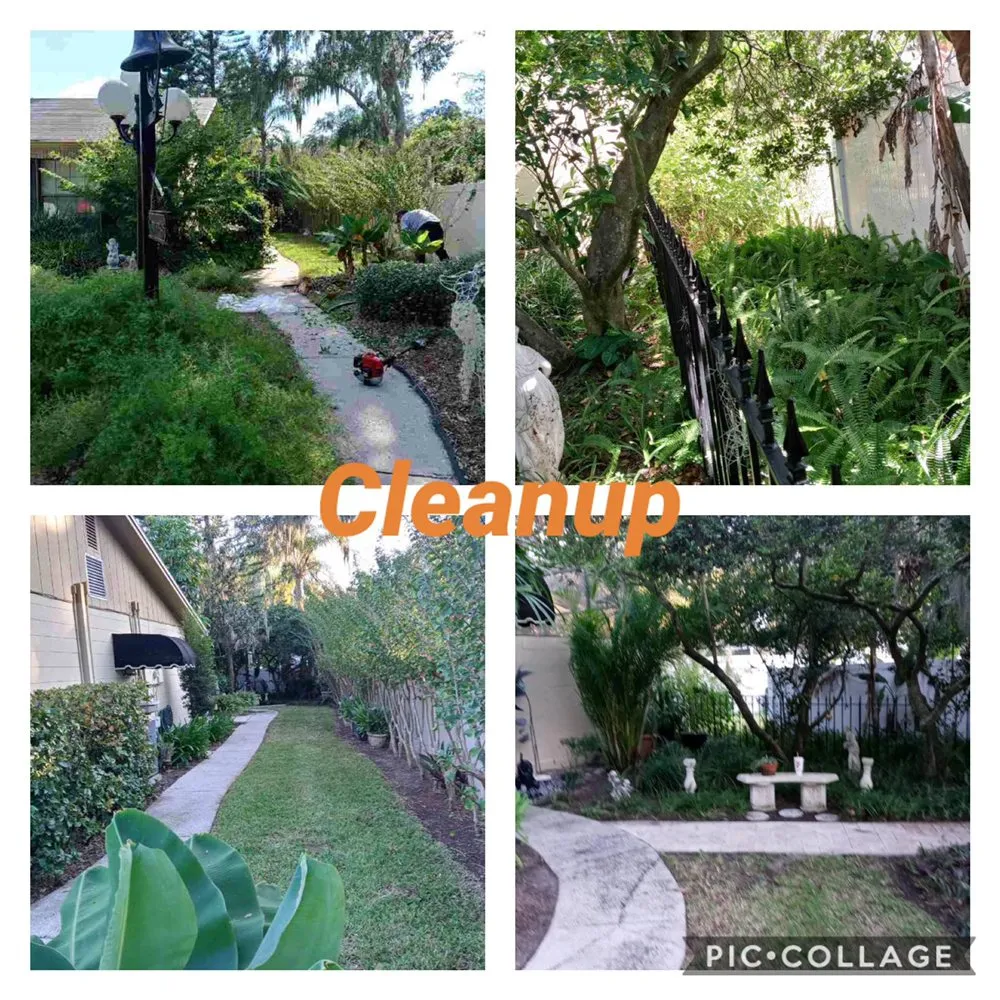 Custom lawn mowing service for beautiful yards across Plant City, FL - Creative Edge Landscape & Lawn Care LLC of Plant City