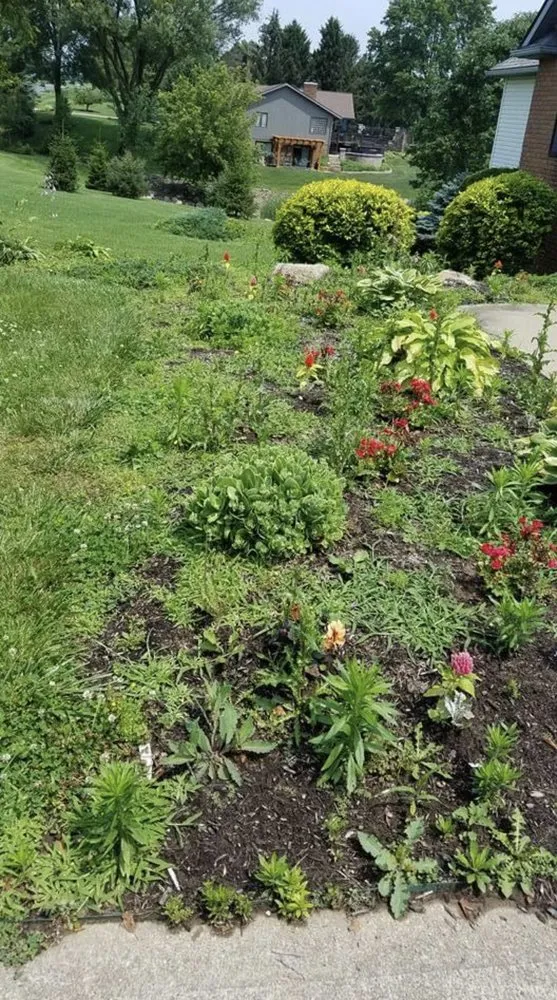 Reliable lawn mowing service for beautiful yards across Mansfield, OH - Creative Edge Landscaping and Designs