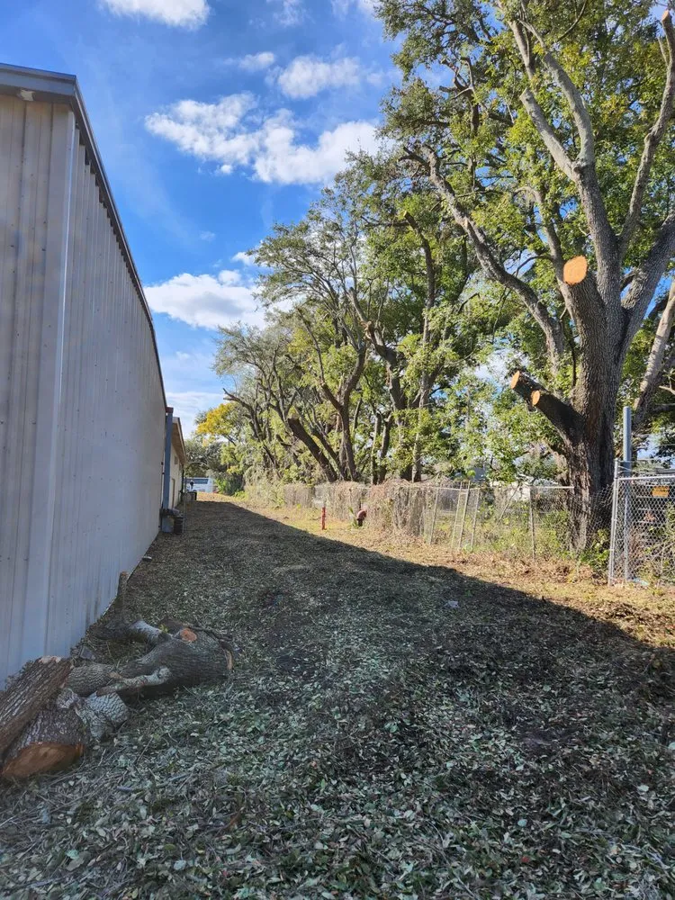 Local landscaping services in Sanford, FL - Creative Edge Lawn & Landscape