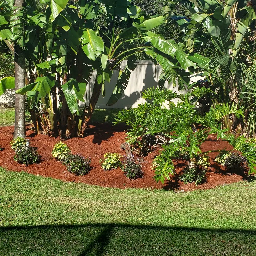 Professional yard cleanup service experts serving Sanford, FL - Creative Edge Lawn & Landscape