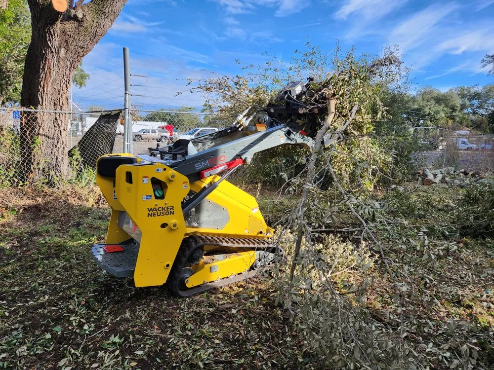 Expert lawn mowing service in Sanford, FL - Creative Edge Lawn & Landscape