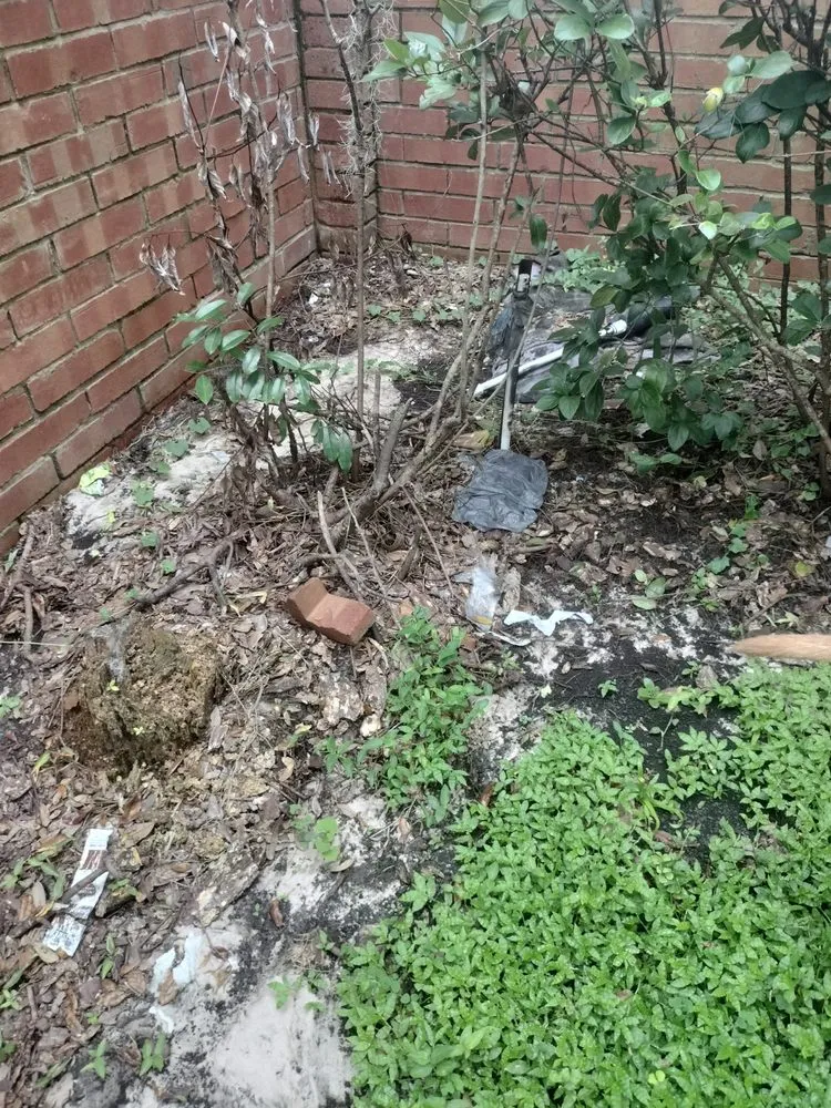 Top-rated yard cleanup service experts serving Sanford, FL - Creative Edge Lawn & Landscape