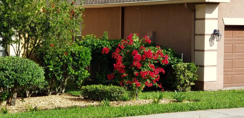 Local garden landscaping near you in Sanford, FL by Creative Edge Lawn & Landscape