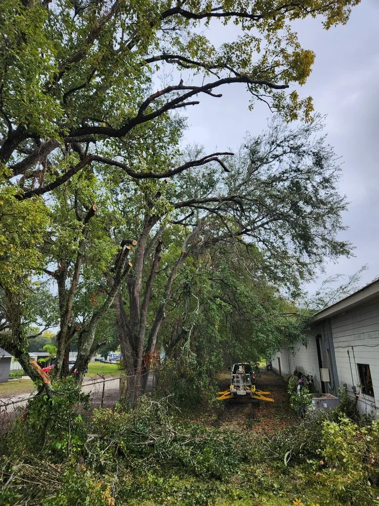 Professional lawn mowing service for year-round maintenance in Sanford, FL by Creative Edge Lawn & Landscape