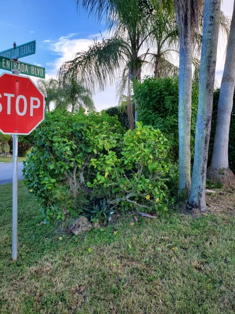 Trusted yard cleanup service in Coconut Creek, FL - Creative Edge Lawn Maintenance LLC