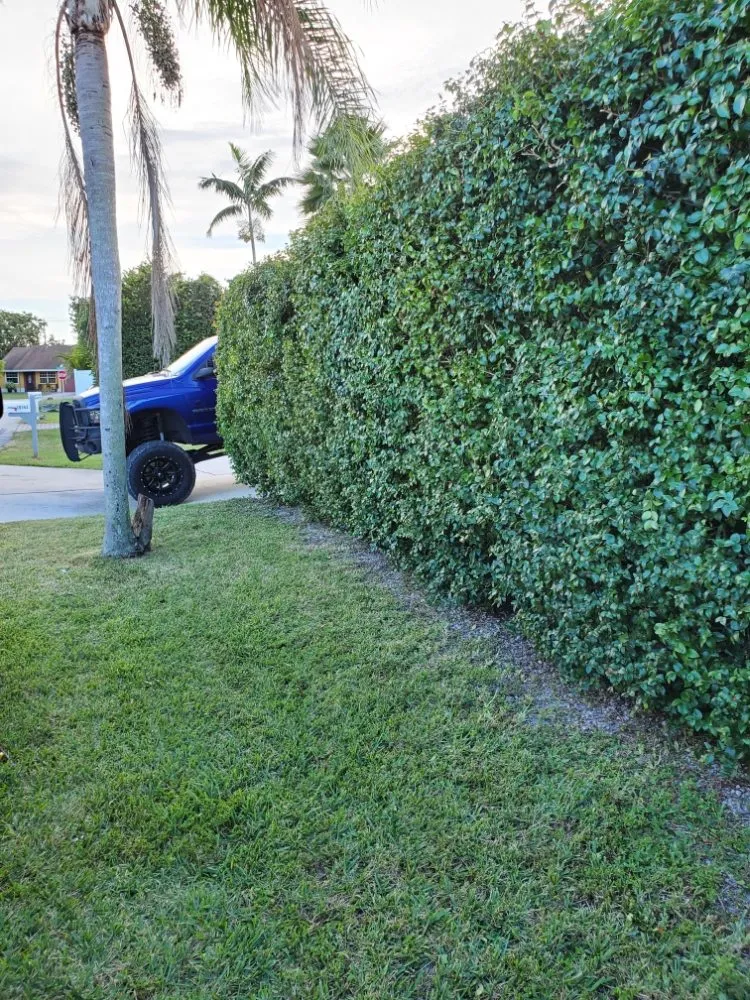 Top-rated yard cleanup service in Coconut Creek, FL - Creative Edge Lawn Maintenance LLC
