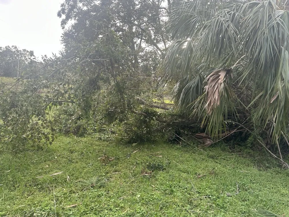 Custom landscaping services in Lakeland, FL - Creative Edge Outdoor Solutions