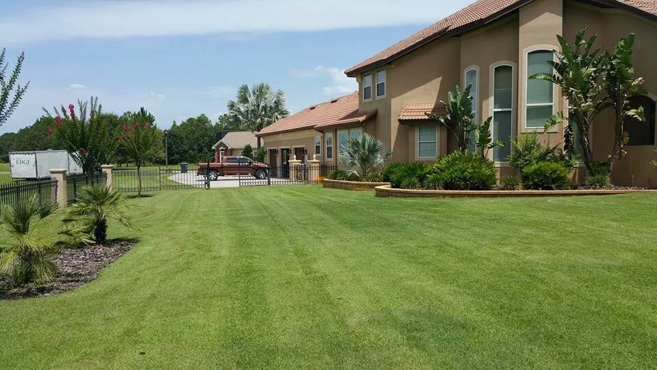 Custom yard cleanup service in Lakeland, FL - Creative Edge Outdoor Solutions