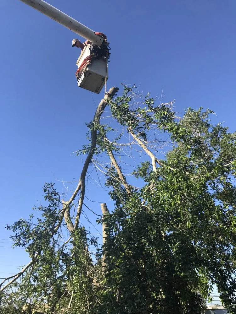 Trusted yard maintenance in Lakeland, FL - Creative Edge Outdoor Solutions