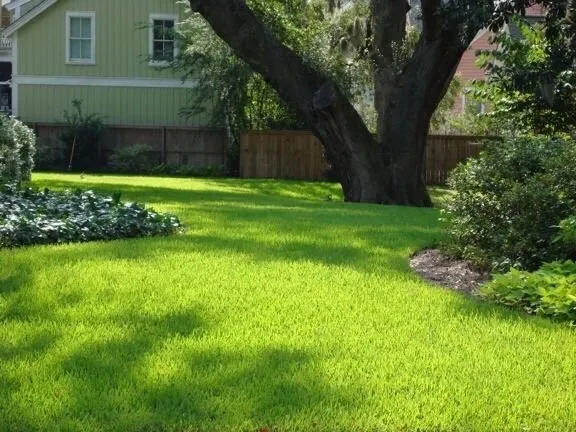 Expert yard cleanup service for year-round maintenance in Lakeland, FL by Creative Edge Outdoor Solutions