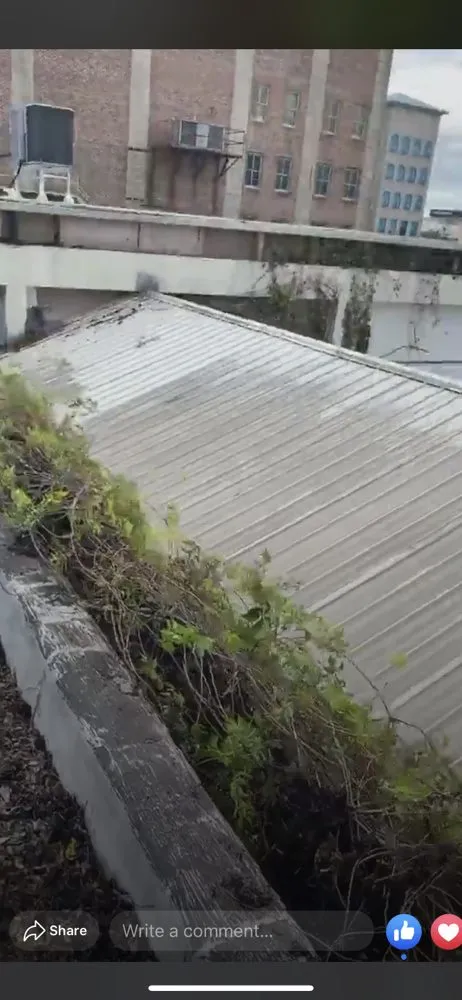 Affordable landscape installation for outdoor upgrades across Lakeland, FL - Creative Edge Outdoor Solutions