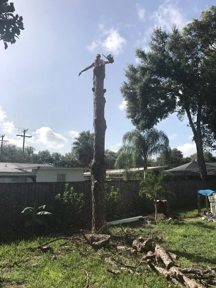 Expert residential landscaping experts serving Lakeland, FL - Creative Edge Outdoor Solutions