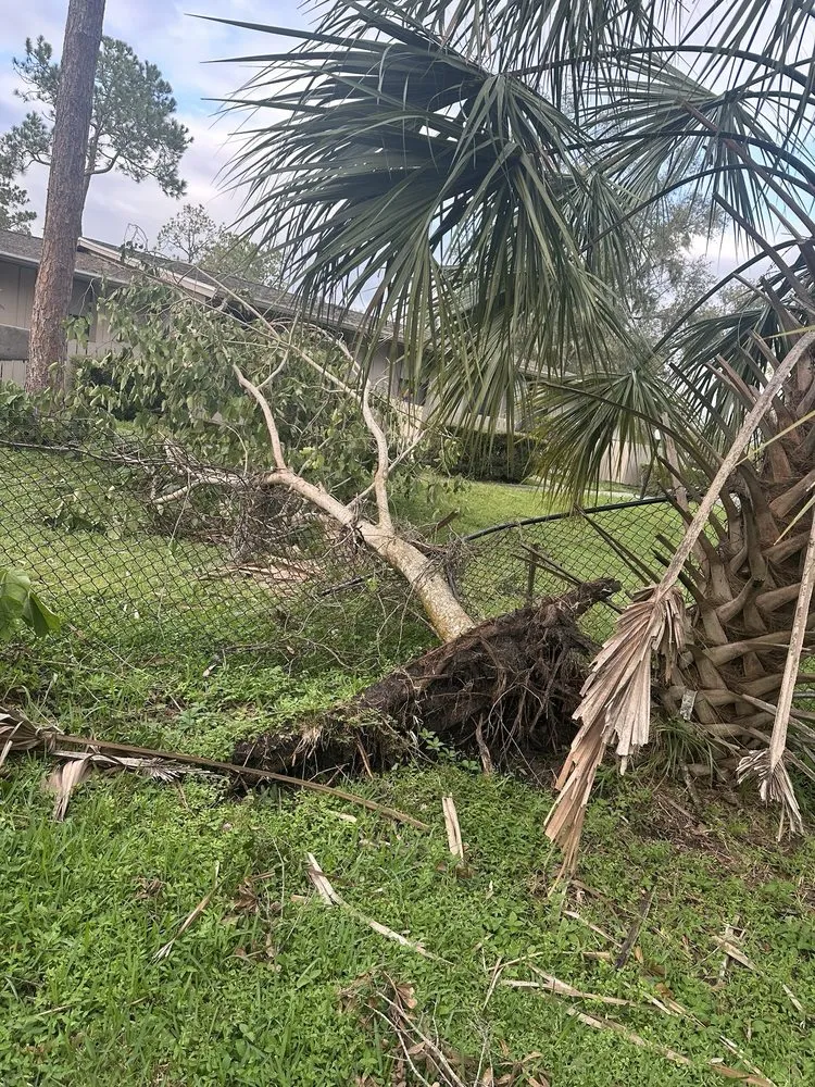 Local yard cleanup service for year-round maintenance across Lakeland, FL - Creative Edge Outdoor Solutions