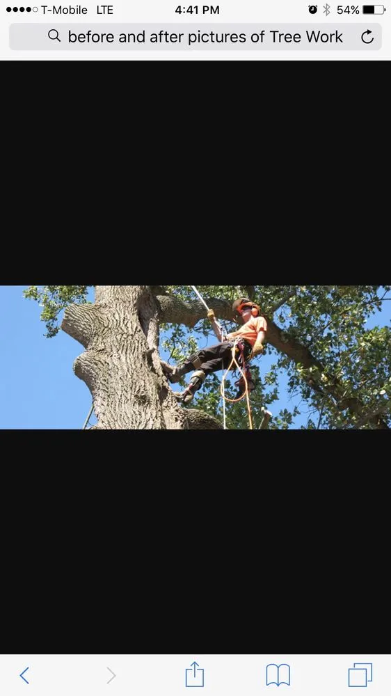 Trusted landscaping services for year-round maintenance across Lakeland, FL - Creative Edge Outdoor Solutions