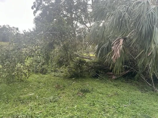 Creative Edge Outdoor Solutions Logo