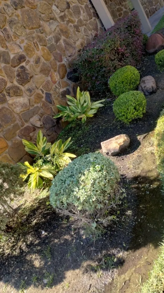 Professional landscape installation for beautiful yards across Richmond, TX - Creative Environments