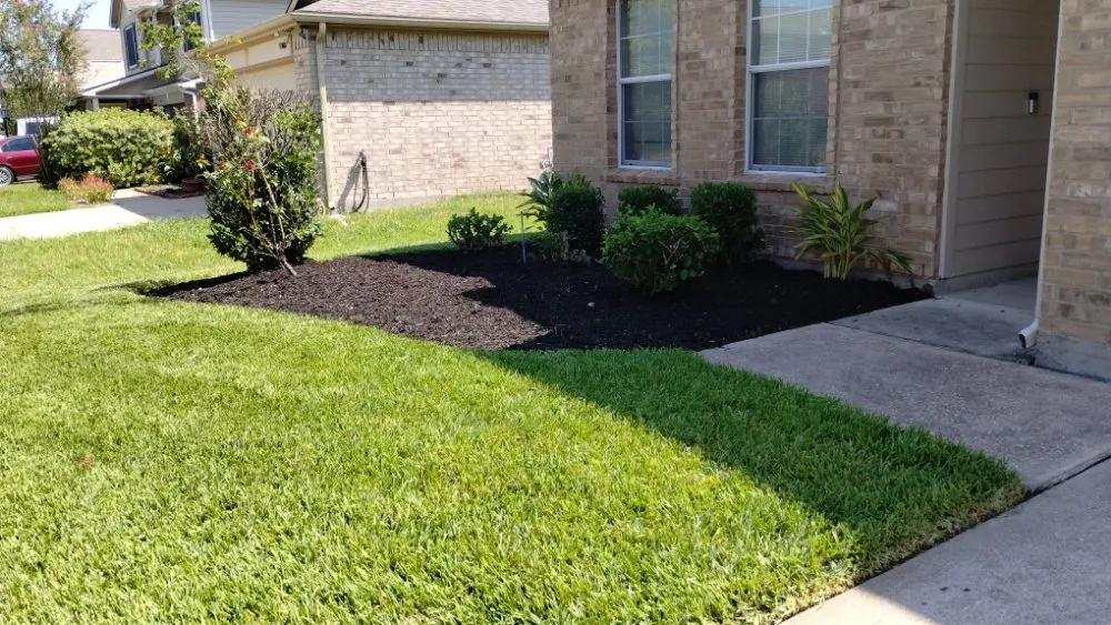 Top-rated lawn care service for residential properties in Richmond, TX by Creative Environments