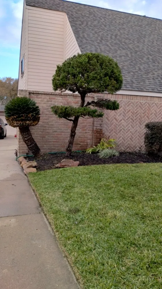 Professional lawn care service experts serving Richmond, TX - Creative Environments
