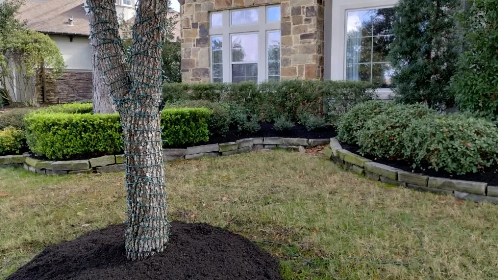 Professional lawn mowing service in Richmond, TX - Creative Environments