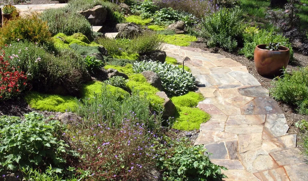 Professional garden landscaping in Sebastopol, CA - Creative Environments