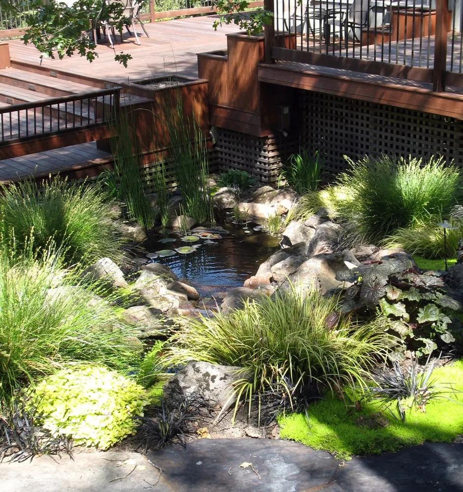 Expert landscaping services in Sebastopol, CA by Creative Environments