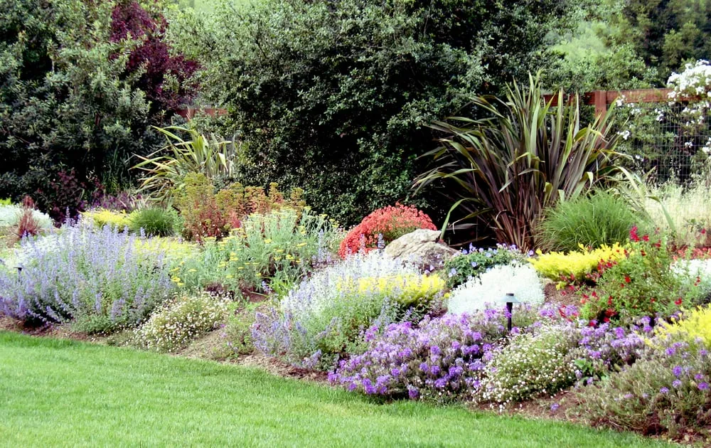 Affordable landscaping services with custom design across Sebastopol, CA - Creative Environments