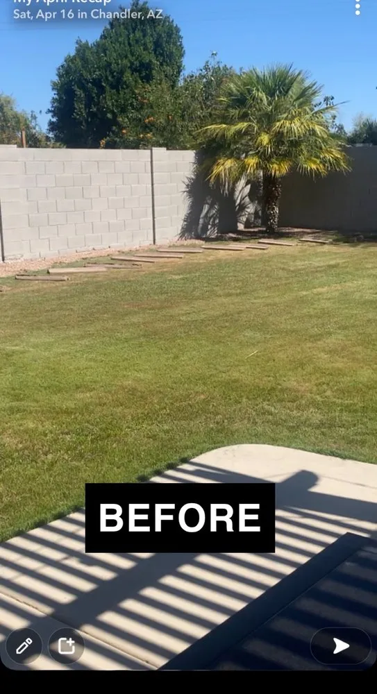 Top-rated yard cleanup service in Tempe, AZ - Creative Environments