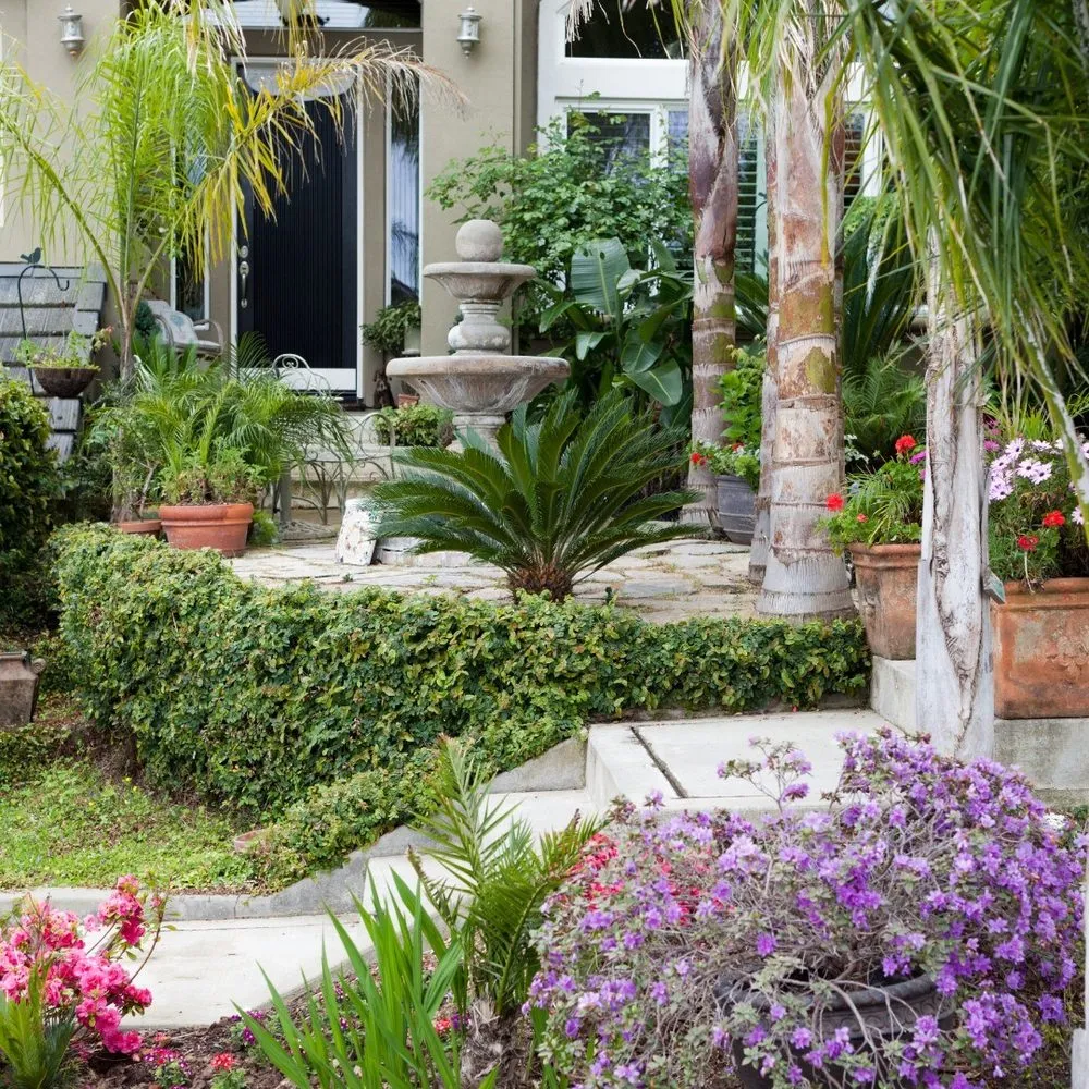 Local lawn mowing service for homes across Tubac, AZ - Creative Environments