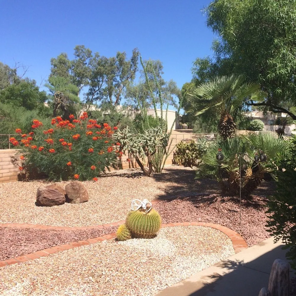 Professional yard maintenance for homes across Tubac, AZ - Creative Environments